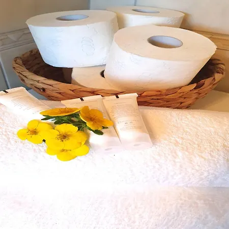 Elegante Im Schwarzwald, Goerwihl, Cleaning Included Apartment Gorwihl
