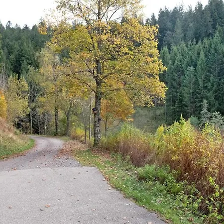 Apartment Elegante Im Schwarzwald, Goerwihl, Cleaning Included