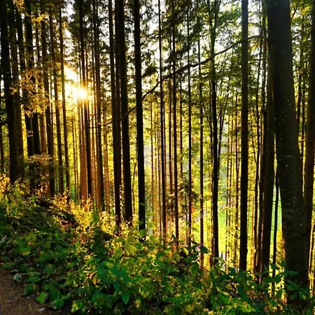 Elegante Im Schwarzwald, Goerwihl, Cleaning Included